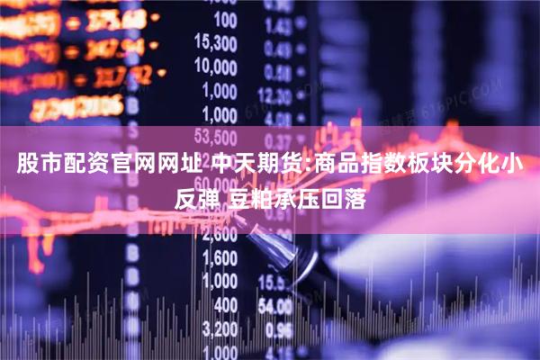 股市配资官网网址 中天期货:商品指数板块分化小反弹 豆粕承压回落