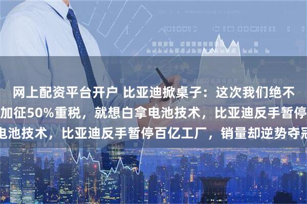 网上配资平台开户 比亚迪掀桌子：这次我们绝不吃亏！土耳其给中国车加征50%重税，就想白拿电池技术，比亚迪反手暂停百亿工厂，销量却逆势夺冠